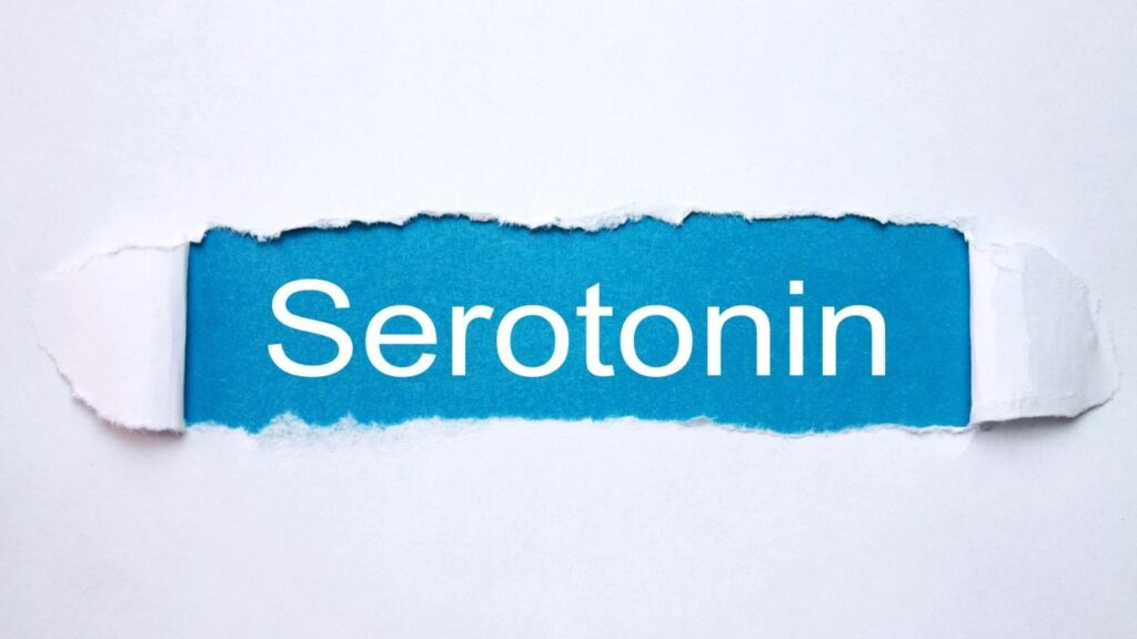 Serotonin Hormonu